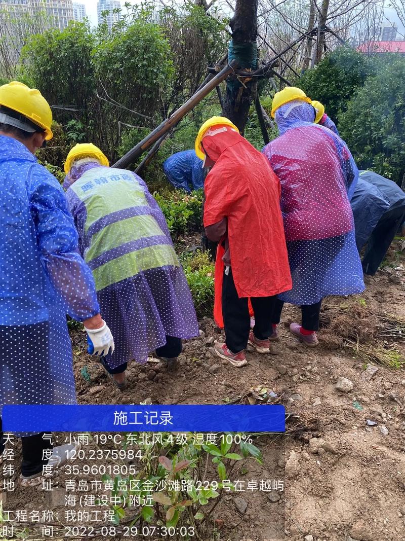 园林绿化工程施工 从工地到回家的路