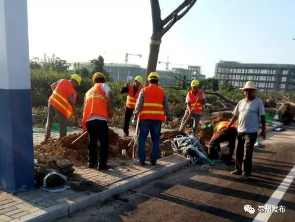 亳州园林绿化大项目开工 高铁站公园与34条道路绿化齐头并进