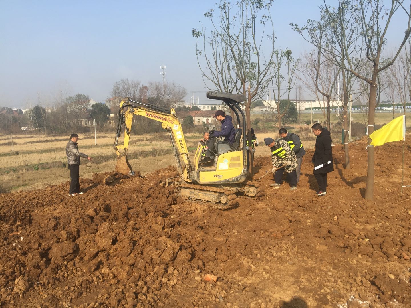 应城园林绿化工程施工正酣 新年前将建成又一靓丽绿化节点