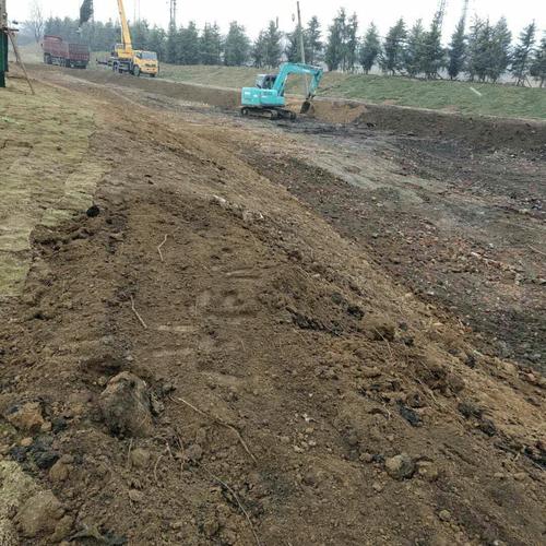 汗水浇灌绿色畅想 平郏路绿化工程施工现场纪实