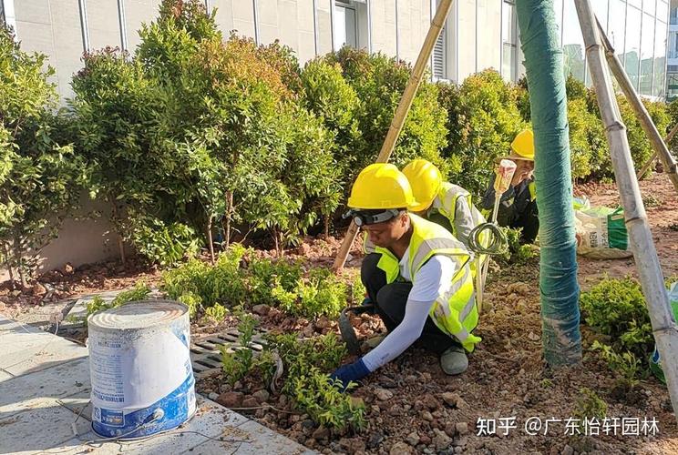 园林绿化工程施工不当引发的养护问题分析
