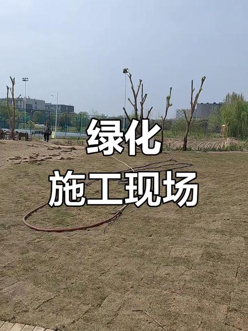 绿意初绽——园林绿化工程施工现场实拍纪实